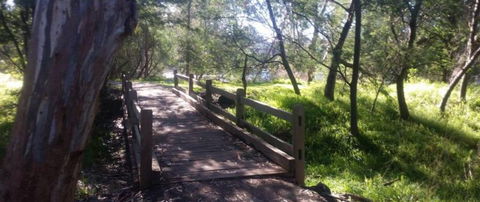 COMFORT INN COACH AND BUSHMANS - Palm Beach Accommodation 4