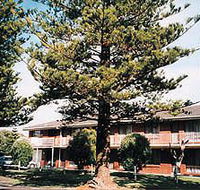 Eastern Beach Holiday Units - Palm Beach Accommodation