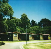 Katoomba Falls Caravan Park - Palm Beach Accommodation