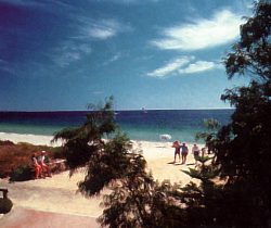 Acacia Caravan Park - Palm Beach Accommodation 0