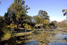 Amamoor Creek QLD Palm Beach Accommodation