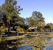 Twin Lakes Hotel - Palm Beach Accommodation