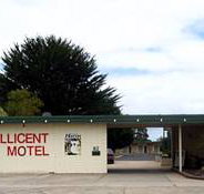 Millicent Motel - Palm Beach Accommodation