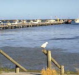 Seaview Motel and Holiday Units - Palm Beach Accommodation