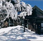 Arlberg Hotel Mt Buller - Palm Beach Accommodation