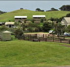 Ace Hi Riding Ranch - Palm Beach Accommodation