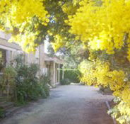 Surfcoast Retreat - Palm Beach Accommodation