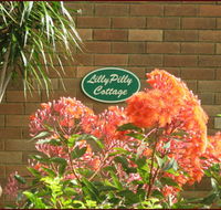Lillypilly - Palm Beach Accommodation