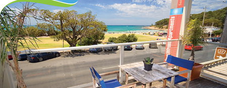 Lorne Beachfront Accommodation - Palm Beach Accommodation 0