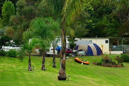 Albany Happy Days Caravan Park - Palm Beach Accommodation 2
