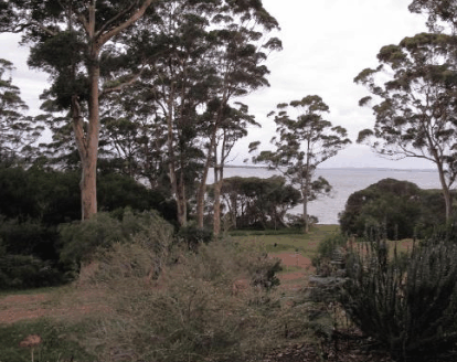 The Denmark Waterfront - Palm Beach Accommodation