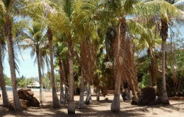 King Sound Resort Hotel