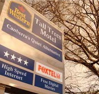 Best Western Tall Trees Motel - Palm Beach Accommodation