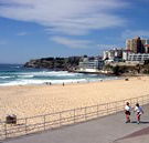 Biltmore On Bondi Backpackers - Palm Beach Accommodation
