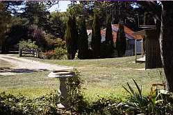 Adaminaby NSW Palm Beach Accommodation