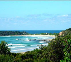  Palm Beach Accommodation