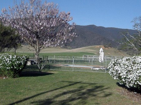 Araluen Old Courthouse - Palm Beach Accommodation 0