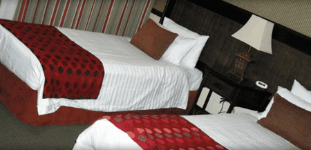 Quality Hotel Burke  Wills - Palm Beach Accommodation