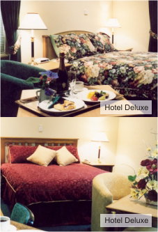  Palm Beach Accommodation