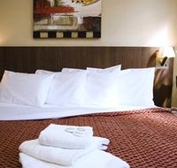 Perouse Lodge - Palm Beach Accommodation