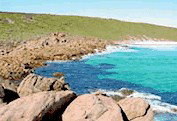 Acacia Caravan Park - Palm Beach Accommodation 2