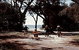 Acacia Caravan Park - thumb 4