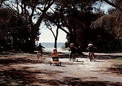 Acacia Caravan Park - Palm Beach Accommodation 4