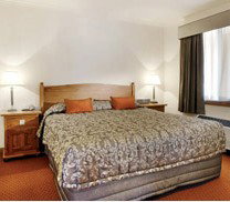 Gateway On Monash Boutique Hotel - Palm Beach Accommodation 3