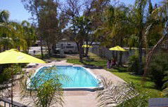 Stuart Caravan Park - Palm Beach Accommodation 1