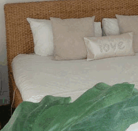 Caledonian Inn - Palm Beach Accommodation
