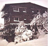 Elk at Falls - Palm Beach Accommodation