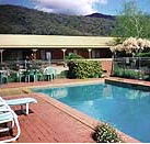 Snowgum Motel - Palm Beach Accommodation