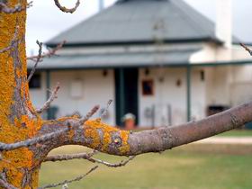 Dunalan Cottage - Palm Beach Accommodation 0