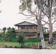 Mundic Grove Cottage - Palm Beach Accommodation