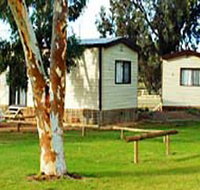 Loxton Riverfront Caravan Park - Palm Beach Accommodation