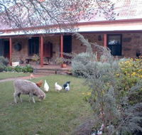 Liebelt House - Palm Beach Accommodation