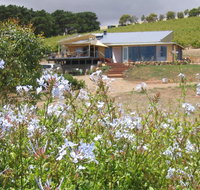 The Blue Grape Vineyard Accommodation