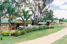 Mundic Grove Cottage - Palm Beach Accommodation 2
