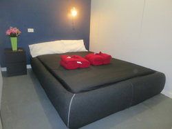 CBD Hostel And Backpackers - Palm Beach Accommodation 3