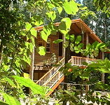 Rivers Edge Rainforest Retreat - Palm Beach Accommodation