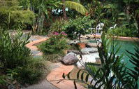 Galvins Edge Hill Bed And Breakfast - Palm Beach Accommodation 5