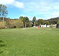 Mole Creek Camping Ground - Palm Beach Accommodation