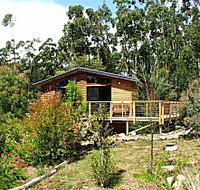Southern Forest Accommodation