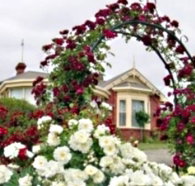 Golden Embers Apartments and B and B - Palm Beach Accommodation