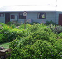Engadine Cottage - Palm Beach Accommodation