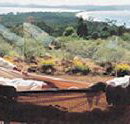 Morella Island Retreats P/L - Palm Beach Accommodation