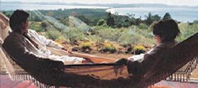 Morella Island Retreats P/L - Palm Beach Accommodation 0
