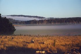 Fonthill - Palm Beach Accommodation 0