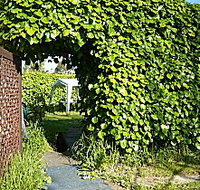 Kirra Guest House - Palm Beach Accommodation