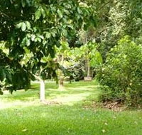 Kingfisher Park Birdwatchers Lodge - Palm Beach Accommodation